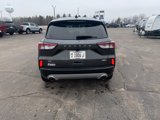Used 2020 Ford Escape SE image 4