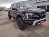 New 2025 Ford F150 Raptor image 4