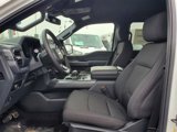 New 2025 Ford F150 XLT w/ Equipment Group 302A MID image 6