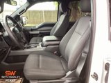 Used 2019 Ford F150 XLT w/ Equipment Group 302A Luxury image 5