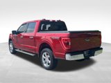 Used 2021 Ford F150 XLT w/ Equipment Group 302A High image 3