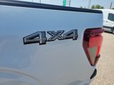 New 2025 Ford F150 STX image 5