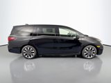 New 2026 Honda Odyssey Elite image 4