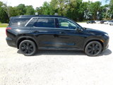 New 2025 Hyundai Palisade XRT image 4