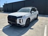 New 2025 Hyundai Palisade Calligraphy image 1