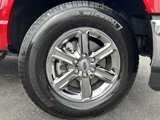 New 2025 Ford F150 XLT w/ Equipment Group 302A MID image 3