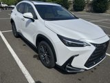 New 2025 Lexus NX 350 AWD image 4