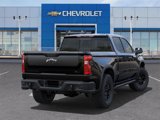 New 2025 Chevrolet Silverado 1500 ZR2 w/ ZR2 Bison Edition image 4