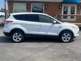 Used 2014 Ford Escape SE image 6