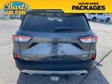 Used 2020 Ford Escape Titanium image 5