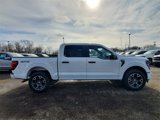 New 2025 Ford F150 STX w/ Equipment Group 200A image 4