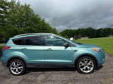 Used 2013 Ford Escape Titanium w/ Parking Technology Pkg image 5