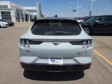 Used 2021 Ford Mustang Mach-E California Route 1 image 4