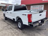 Used 2023 Ford F250 XL w/ XL Chrome Package image 5