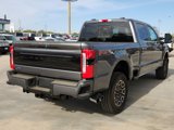 New 2025 Ford F250 Platinum image 3
