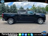 Used 2019 Chevrolet Silverado 1500 LT w/ All-Star Edition image 2