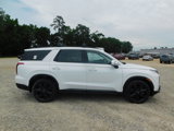 New 2025 Hyundai Palisade XRT image 4