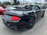 Used 2022 Ford Mustang Premium image 4