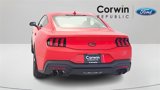 New 2025 Ford Mustang GT image 6