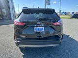 Used 2024 Ford Edge SEL image 5
