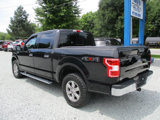 Used 2019 Ford F150 XLT w/ Equipment Group 302A Luxury image 3