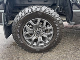 Used 2024 Ford F150 Tremor image 6