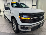 Used 2024 Ford F150 XLT image 2