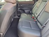 New 2025 Nissan Murano Platinum w/ Cargo Package image 5