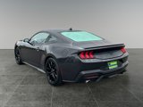 Used 2024 Ford Mustang Coupe w/ Mustang Nite Pony Package image 5