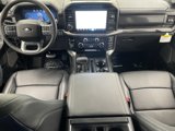 New 2025 Ford F150 Lariat w/ Equipment Group 501A Mid image 2