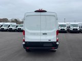 New 2025 Ford Transit 250 148 Medium Roof w/ Load Area Protection Package image 5