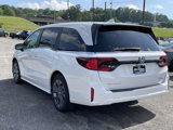 New 2025 Honda Odyssey Touring image 3