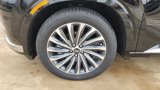 New 2025 Hyundai Palisade Calligraphy image 5