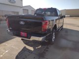 New 2025 Ford F150 XLT w/ Equipment Group 302A MID image 5