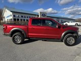 Used 2023 Ford F150 Raptor image 2