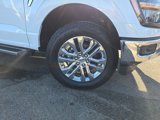New 2025 Ford F150 XLT w/ Equipment Group 302A MID image 2