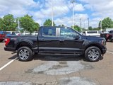 Certified 2023 Ford F150 XL w/ STX Appearance Package image 6