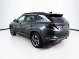 Used 2024 Hyundai Tucson Limited image 5