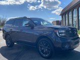New 2025 Ford Expedition Platinum image 4