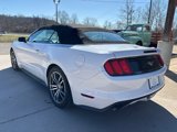 Used 2017 Ford Mustang Premium image 2