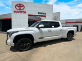 New 2025 Toyota Tundra Platinum image 4