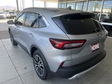 New 2024 Ford Escape SE image 3