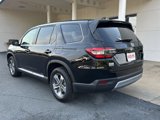 New 2025 Honda Pilot EX-L image 3