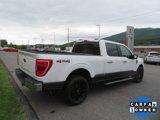 Used 2021 Ford F150 XLT w/ Equipment Group 302A High image 3