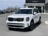 New 2025 Kia Telluride SX Prestige image 3