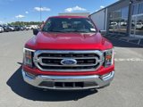 Used 2022 Ford F150 XLT w/ Equipment Group 302A High image 2