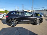 Used 2022 Ford Escape SEL image 3
