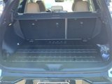 New 2025 Nissan Murano Platinum w/ Cargo Package image 6