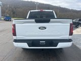 New 2025 Ford F150 STX w/ STX Black Appearance Package image 6