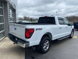 New 2025 Ford F150 XLT image 3